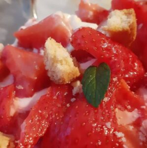 Fraisier